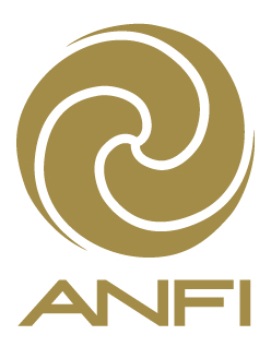 LG Anfi ESTANDAR