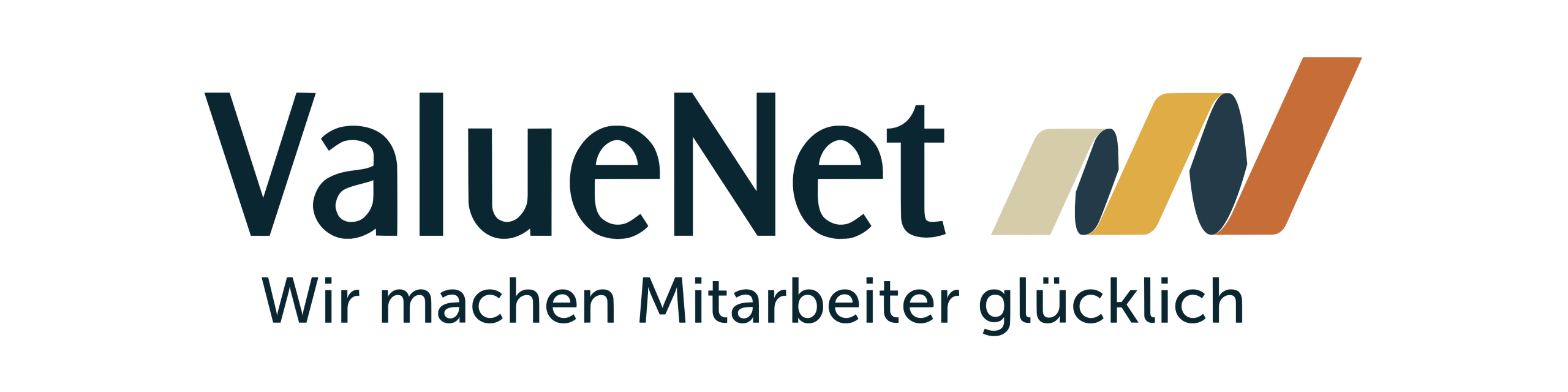 Logo_ValueNet_bild_freigestellt 1